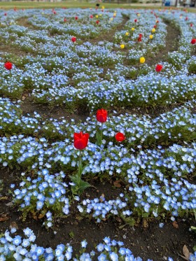 IMG_5075 IMG_5075