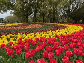 IMG_5122 IMG_5122