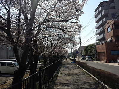 blog21 blog21